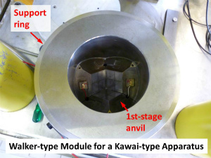 Walker-type module for a Kawai-type multianvil apparatus